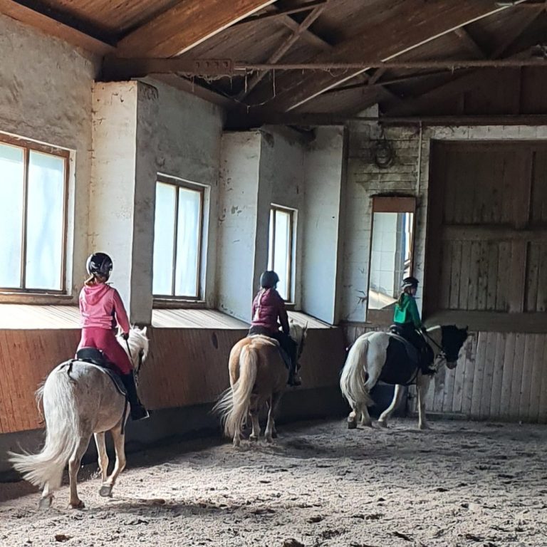 Drei Reiter auf kleinen Pferden in einer Reithalle mit Fenstern.